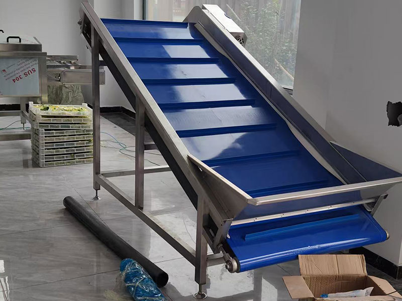 Zhejiang daylily processing site